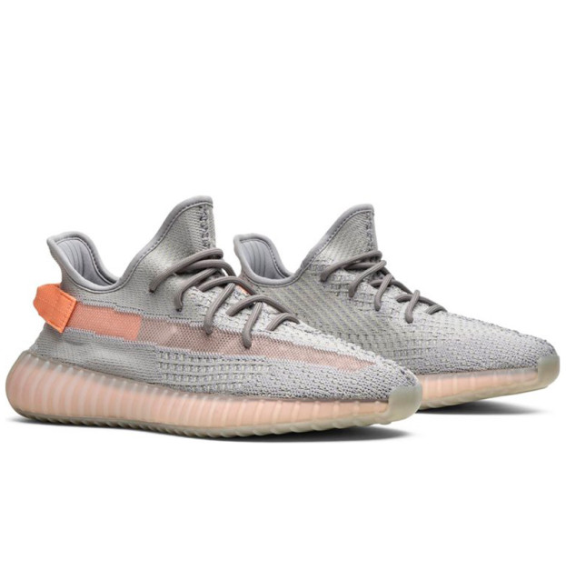 Adidas Yeezy Boost 350 V2 True Form EG7492
