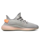 Adidas Yeezy Boost 350 V2 True Form EG7492